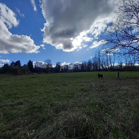 Les Hauts De Meez Dinant Exteriör bild