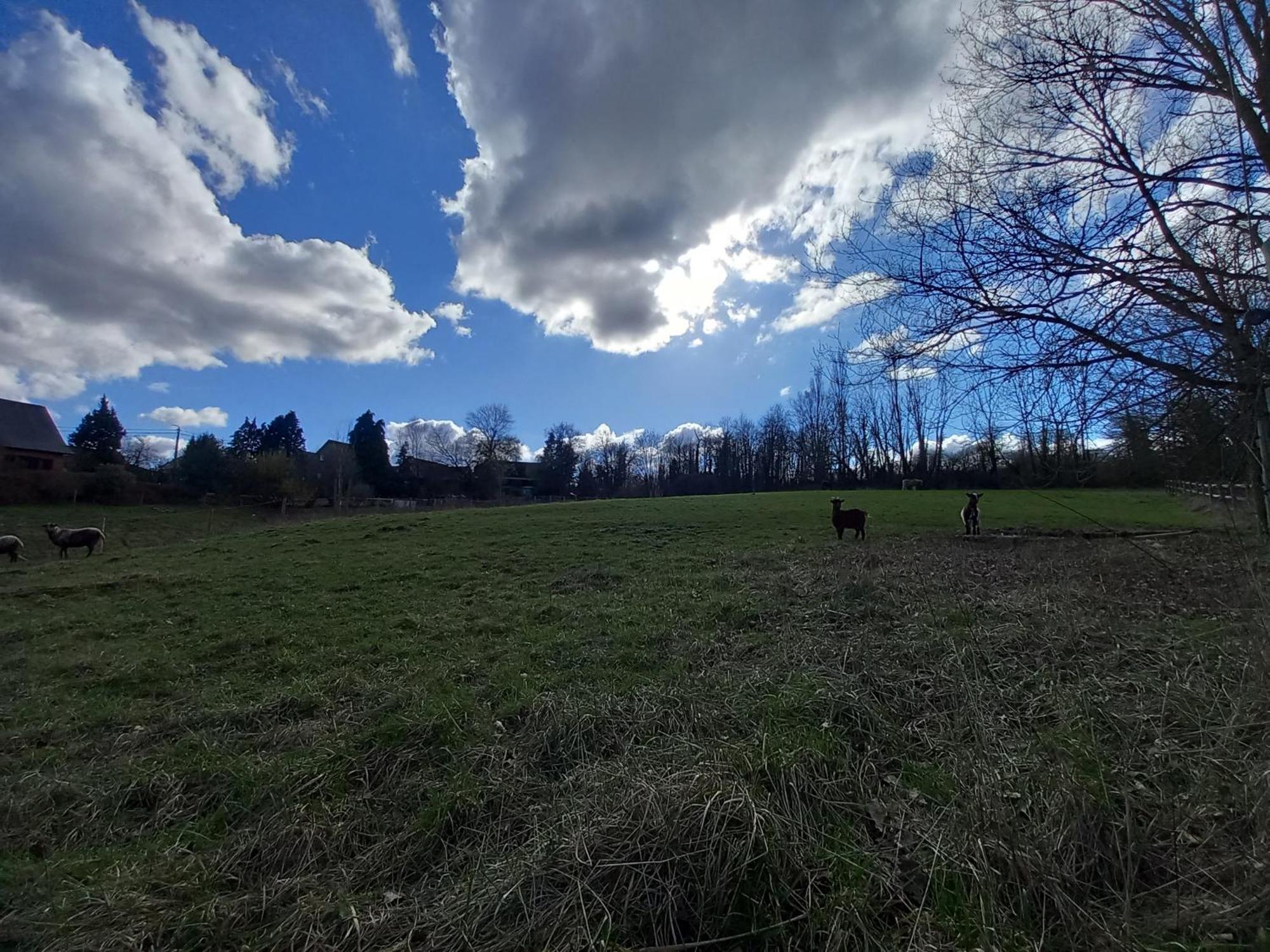 Les Hauts De Meez Dinant Exteriör bild