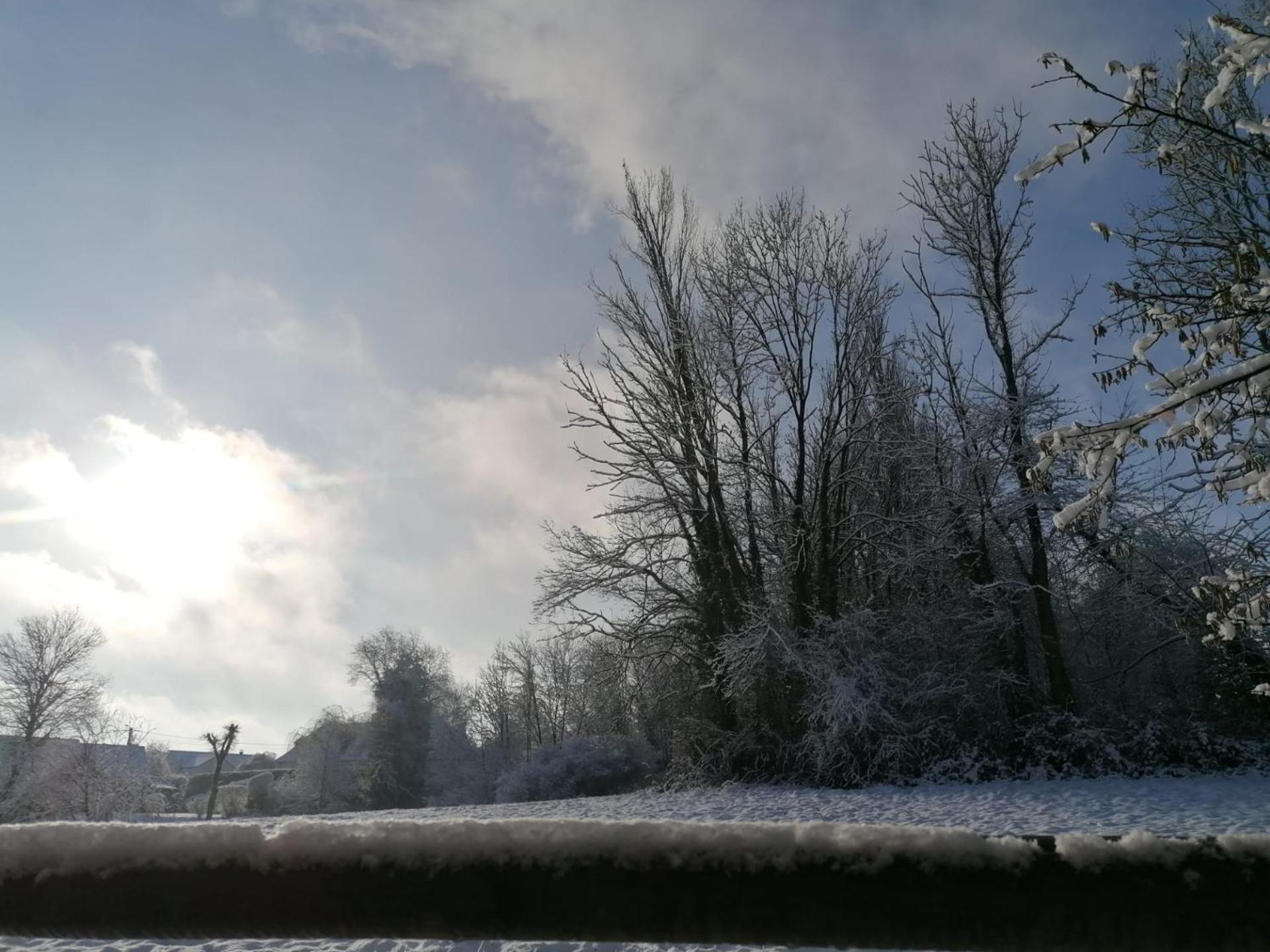 Les Hauts De Meez Dinant Exteriör bild