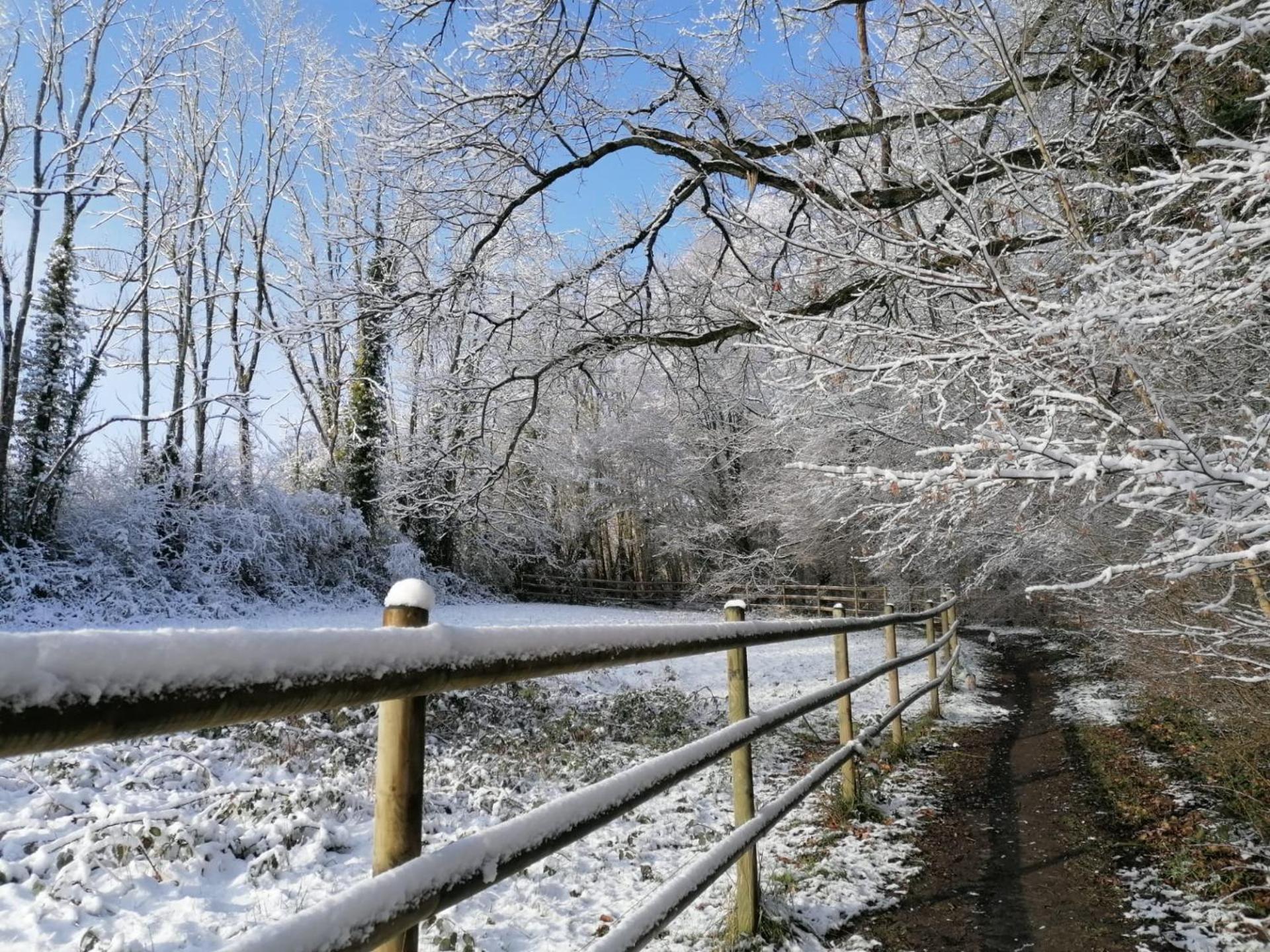 Les Hauts De Meez Dinant Exteriör bild